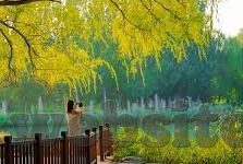 外围足球比分直播-外围足球比分直播,科技赋能下的实时观赛新体验